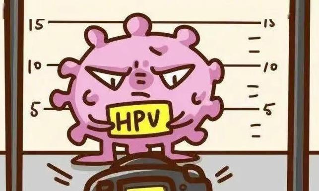 hpv凝膠定制廠家